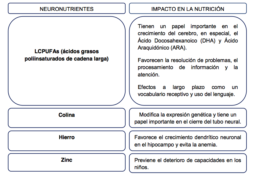 nutrientes