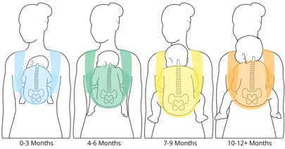 Contrario a la creencia popular, la postura ideal para el crecimiento de su cadera y columna vertebral es la llamada posición “ranita”, donde tu bebé va sentado con las rodillas más arriba de la altura de las nalgas, formando una M: