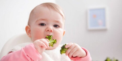 Bebés vegetarianos: ¿cómo empezar?