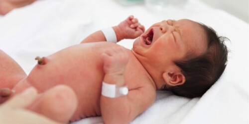 Lo que debes saber del cordón umbilical