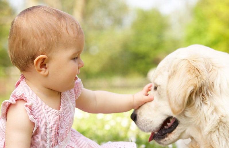 bebe con un perro