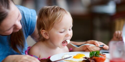 Tips para que coma