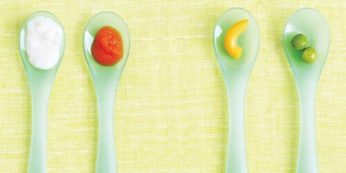 Su alimentación mes a mes