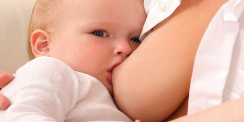 La Liga de la Leche (La Leche League)