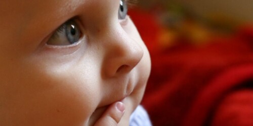 Caries y fracturas: ¡que no le pasen!