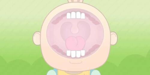 Sus primeros dientes