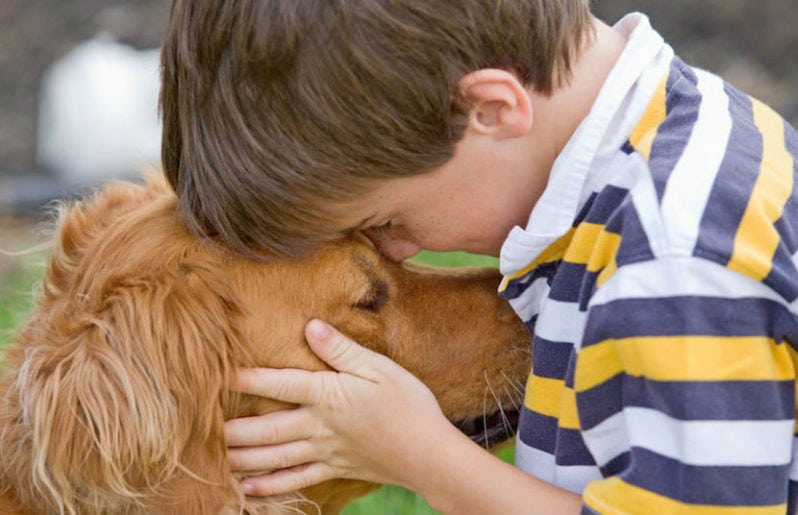 El mejor perro para una familia