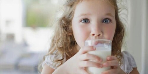 La proteína y el desarrollo de tu bebé