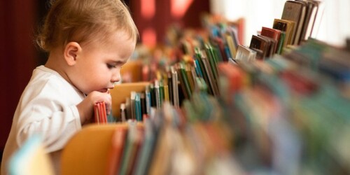 Libros, libros y más libros