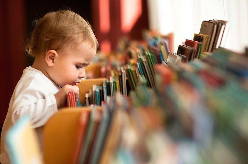 Libros, libros y más libros