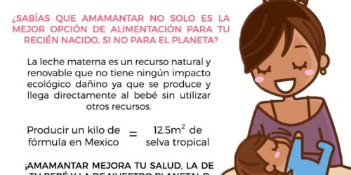Ventajas de la leche materna