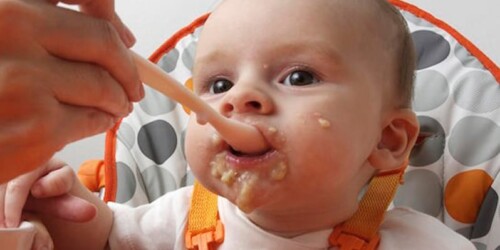 Lo que puede o no comer según su edad