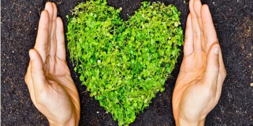 La lactancia materna y su impacto en el medio ambiente