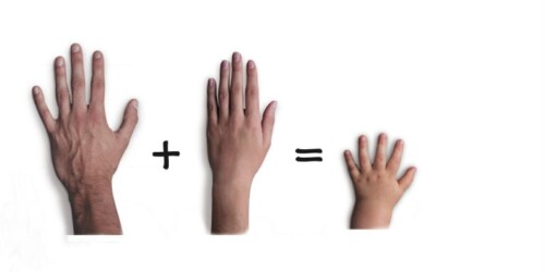 Cómo hacer que tu familia funcione