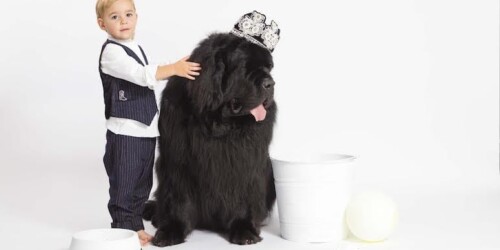 Niños y perros: tips para que se lleven bien