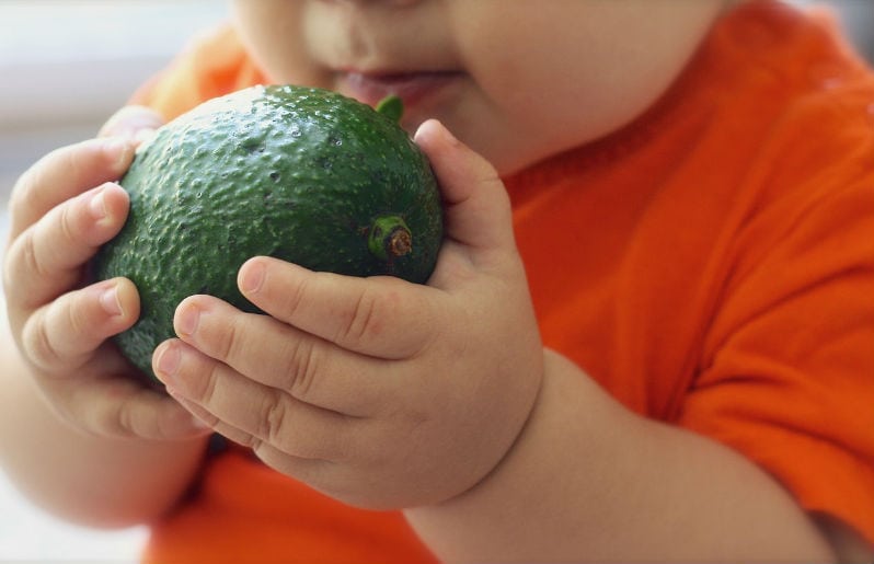 Nopal, aguacate y otros alimentos para tu bebé