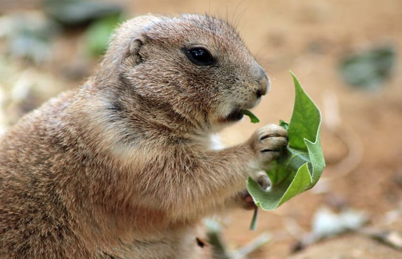 dieta en vacaciones