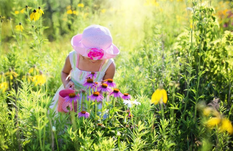 Tips para disfrutar todo el verano