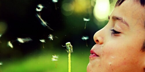 Guía para sobrevivir a la primavera: irritación y deshidratación