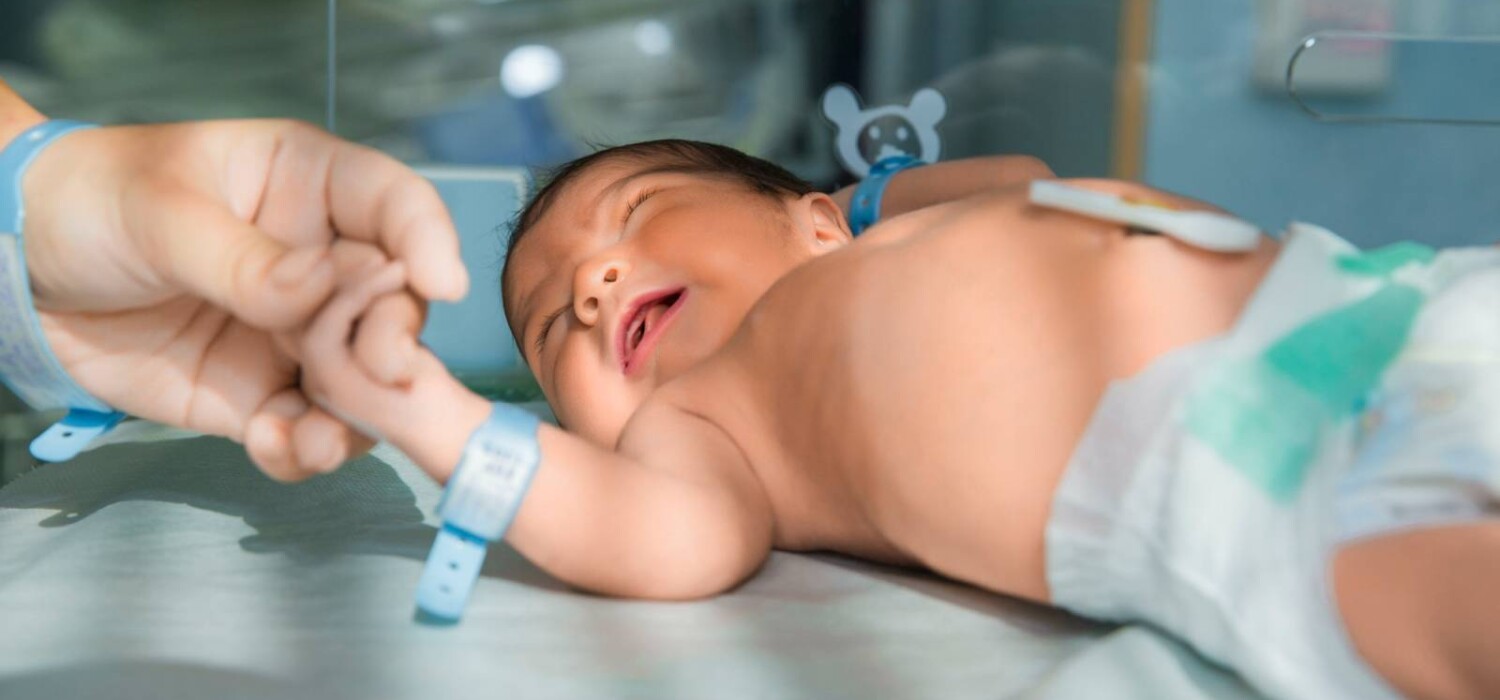 circuncision en bebes