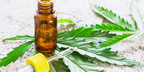 Cannabis, tratamiento contra la epilepsia