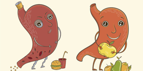 Alimentos para tener una buena salud intestinal
