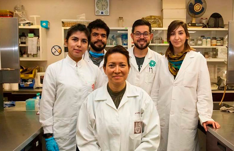 Científicos mexicanos crean cura para el virus del Papiloma Humano