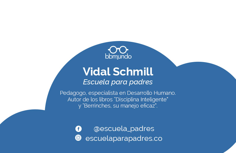 Ficha Vidal Schmill
