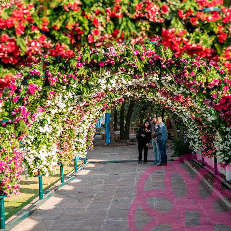 Actividades con niños en abril 2019, en CDMX