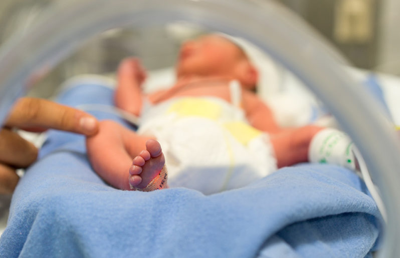 vacunas en los bebés prematuros