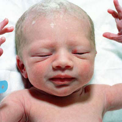 Las primeras horas de vida de los recién nacidos en fotografías