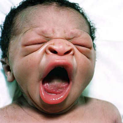 Las primeras horas de vida de los recién nacidos en fotografías