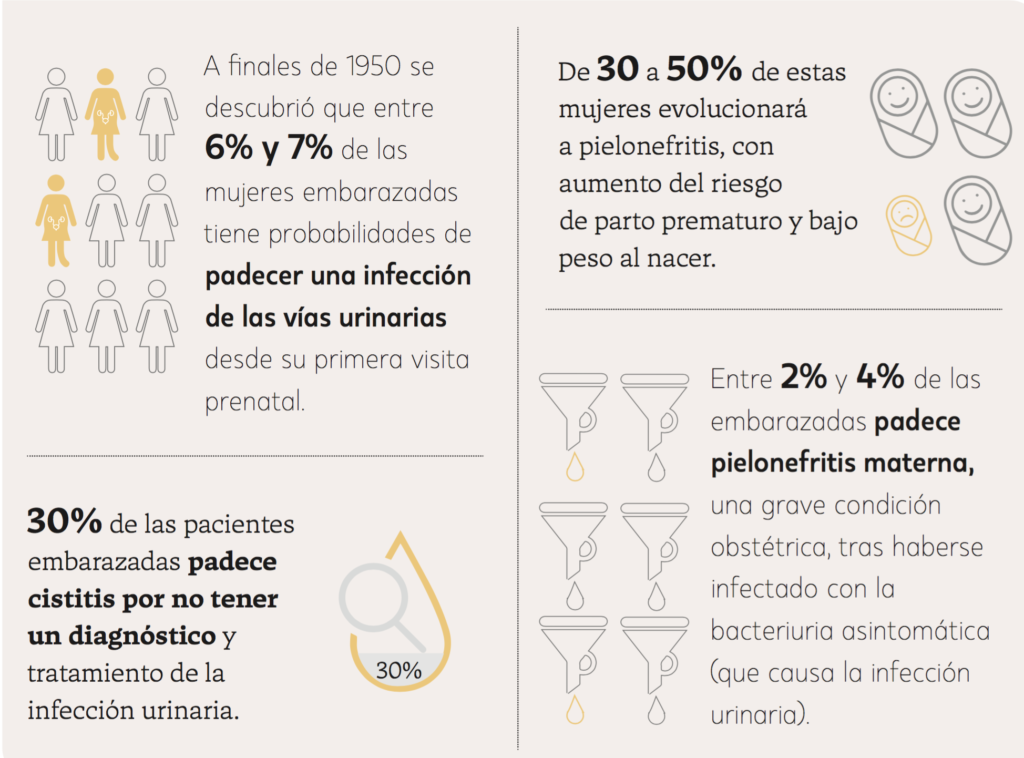 Infecciones urinarias: qué las provocan y cómo tratarlas