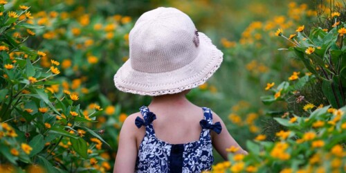 Jardines botánicos en la CDMX para tomarle muchas fotos a tus hijos