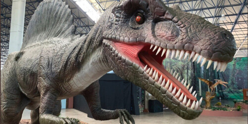 Actividades con niños en septiembre 2019, en CDMX