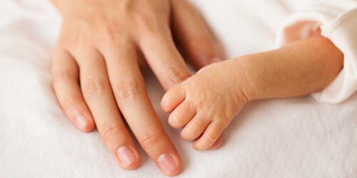 El útero artificial, la esperanza de vida de los bebés prematuros