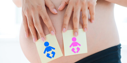 Calendario Chino 2020 para predecir el sexo de tu bebé