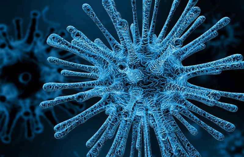 La Realidad Del Coronavirus 2019 Ncov Por Un Epidemiologo