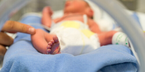 Crean placenta artificial para salvar a bebés prematuros