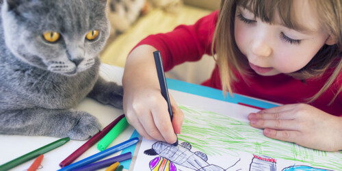 Así debe ser la relación de un niño y su gato