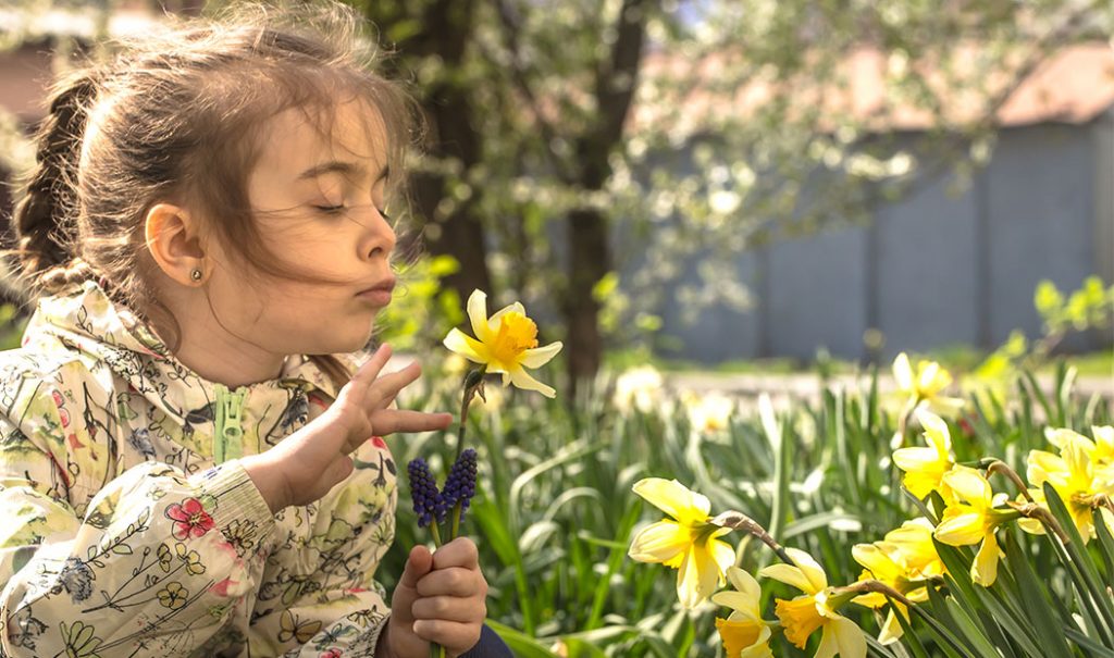 Cómo educar a niño ecológico