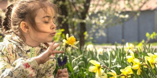 Cómo educar a niño ecológico