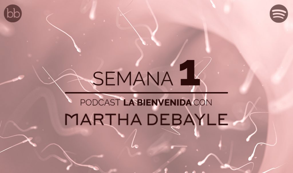 La bienvenida: semana 1 del embarazo