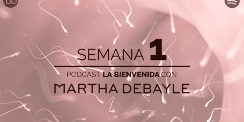 La bienvenida: semana 1 del embarazo