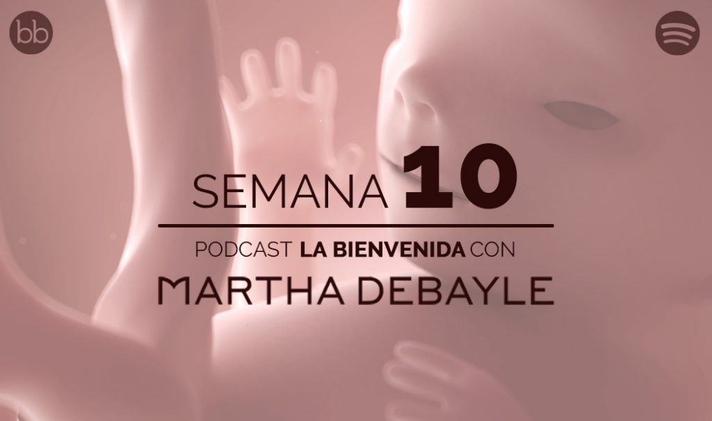 La bienvenida: semana 10 del embarazo