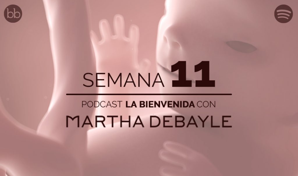 La bienvenida: semana 11 del embarazo