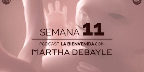 La bienvenida: semana 11 del embarazo