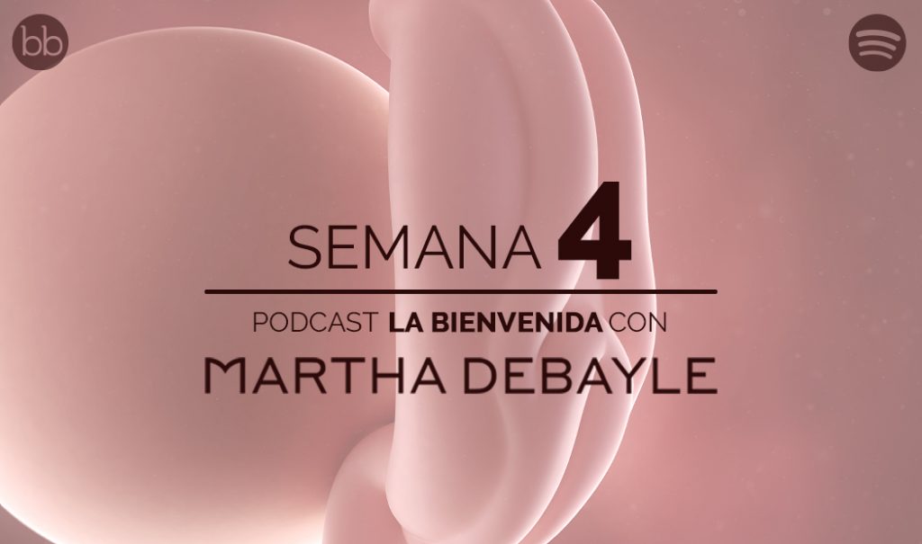 La bienvenida: semana 4 del embarazo