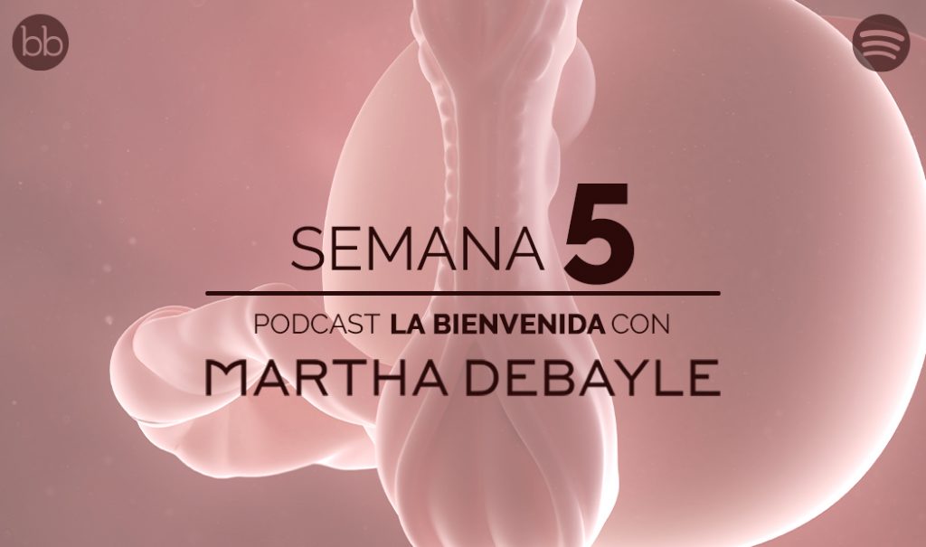 La bienvenida: semana 5 del embarazo