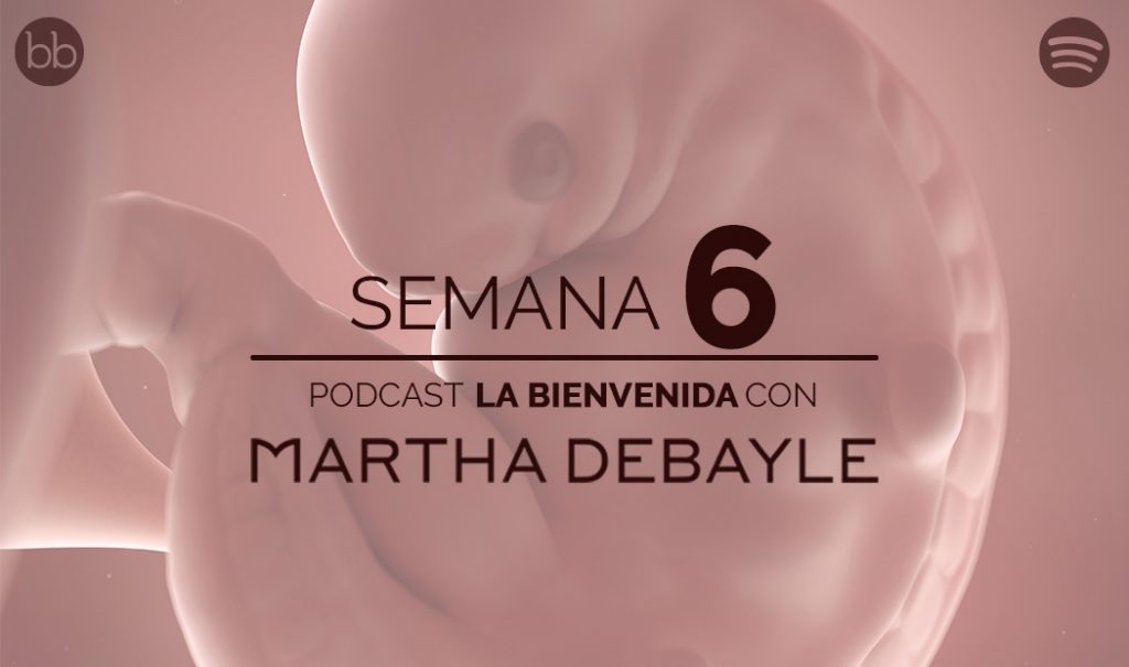 La bienvenida: semana 6 del embarazo